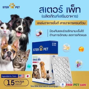 SterPet🐶 (สเตอเพ็ท) 🐾 สูตรดูแลน้องหมาแมว ที่มีปัญหาสุขภาพครบวงจร